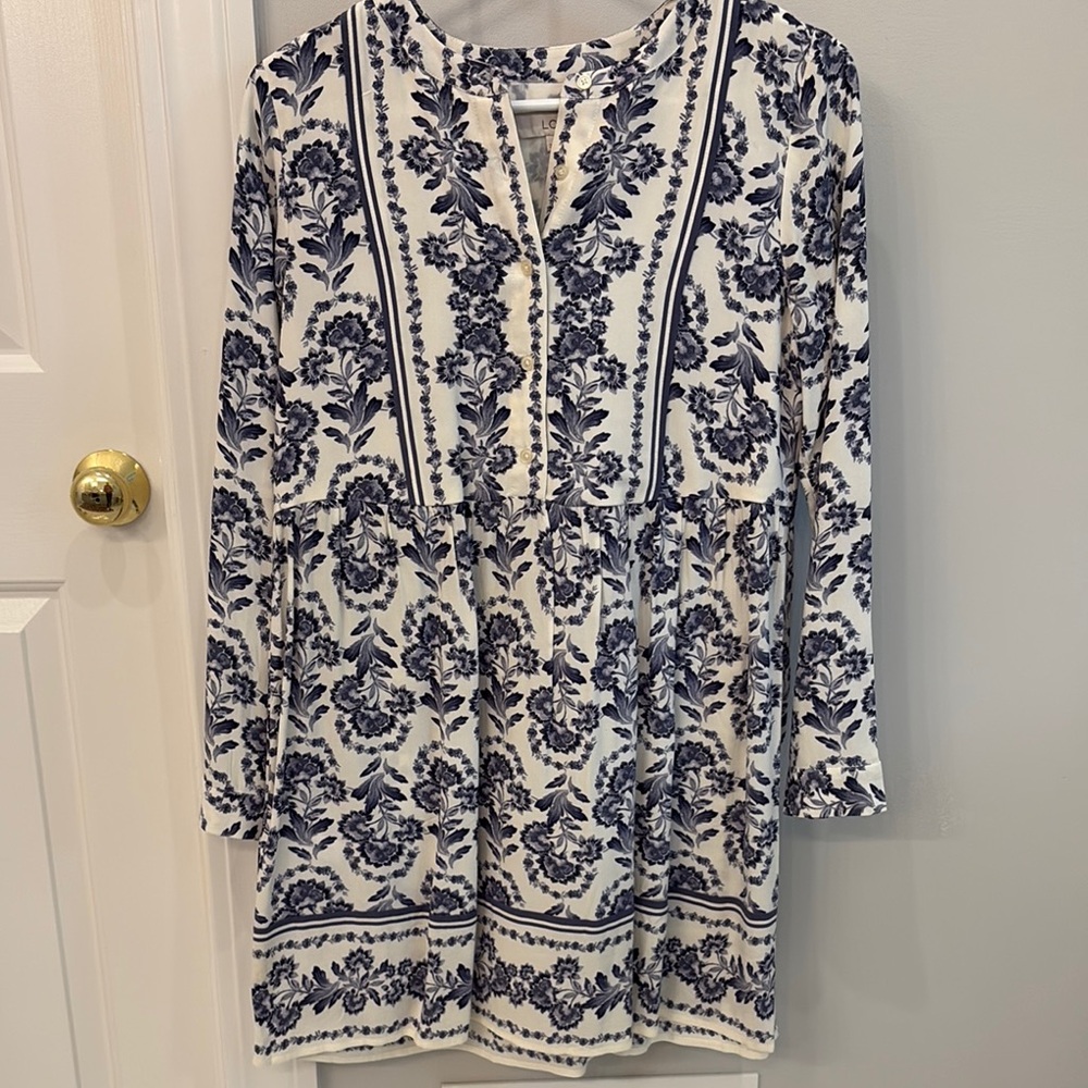 Floral Blue and White Dress